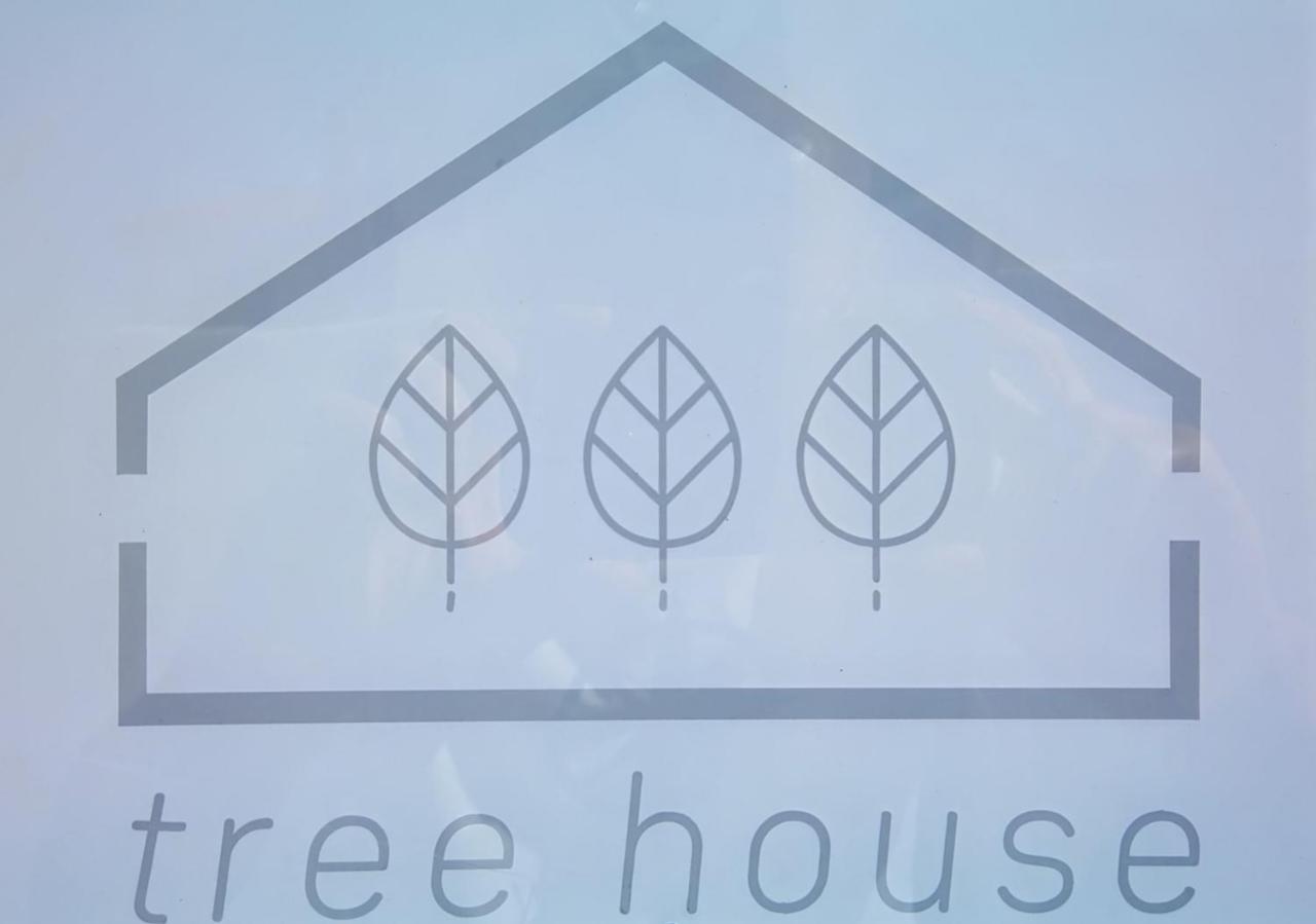 塞辛布拉 Tree House - Casa Figueira酒店 外观 照片
